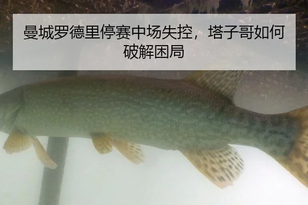 man-cheng-luo-de-li-ting-sai-zhong-chang-shi-kong-ta-zi-ge-ru-he-po-jie-kun-ju-2-305.jpg
