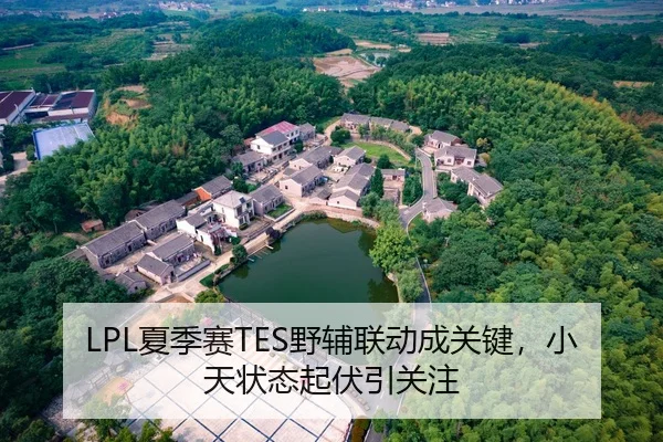 LPL夏季赛TES野辅联动成关键，小天状态起伏引关注