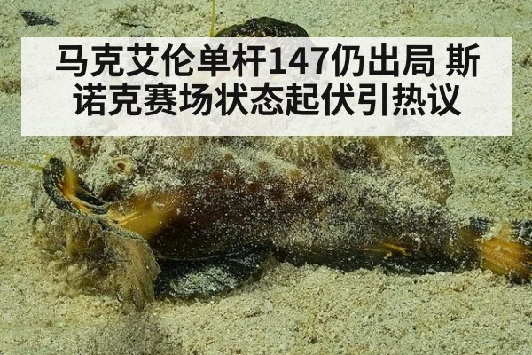 马克艾伦单杆147仍出局 斯诺克赛场状态起伏引热议