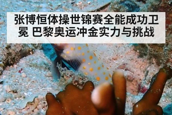 张博恒体操世锦赛全能成功卫冕 巴黎奥运冲金实力与挑战